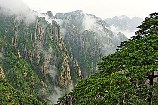 一闻就说真话的药C1B8D97C5-18975